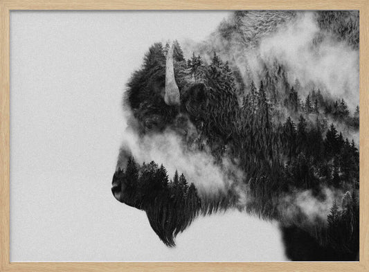 Bison – B2B