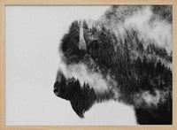 Forest Bison Spirit – B2B