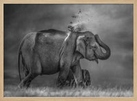 Elephant mother and cub – B2B