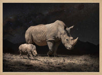 NightRhinos – B2B