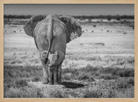 Protective Mother Elephant – B2B