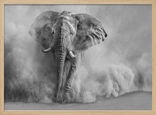 Sandstorm-BW – B2B