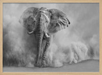 Majestic Elephant Dust Cloud – B2B