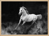 Fergana horse – B2B