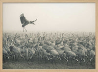 StS10 – B2B