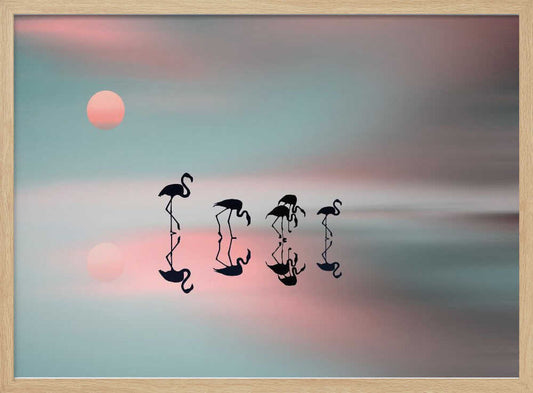 Family flamingos. – B2B