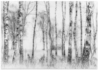 Black and white – B2B