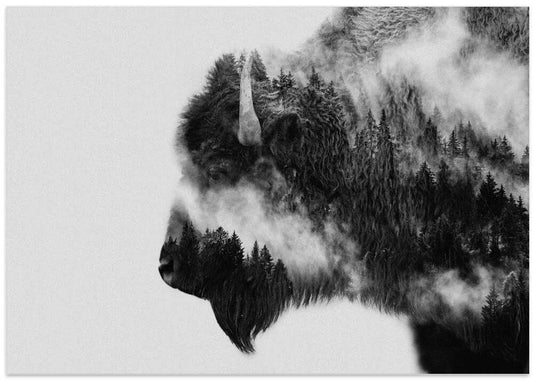 Bison – B2B