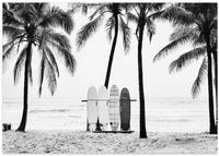 The Boards – B2B