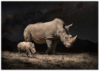 NightRhinos – B2B