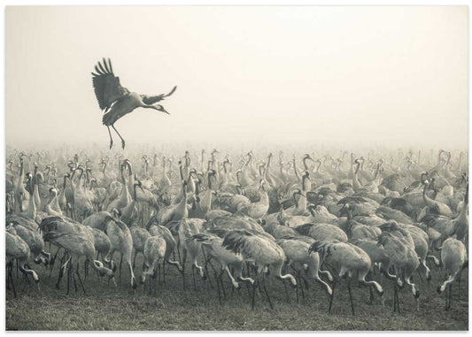 StS10 – B2B