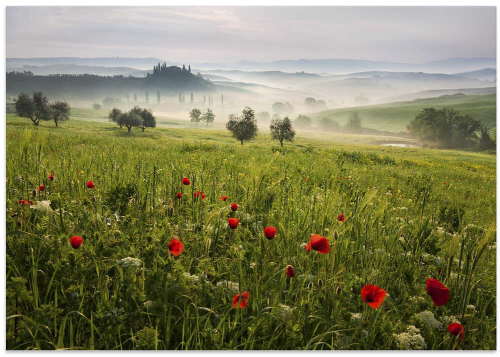 Tuscan spring – B2B