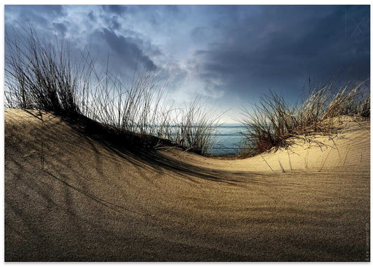 Dunes........... – B2B