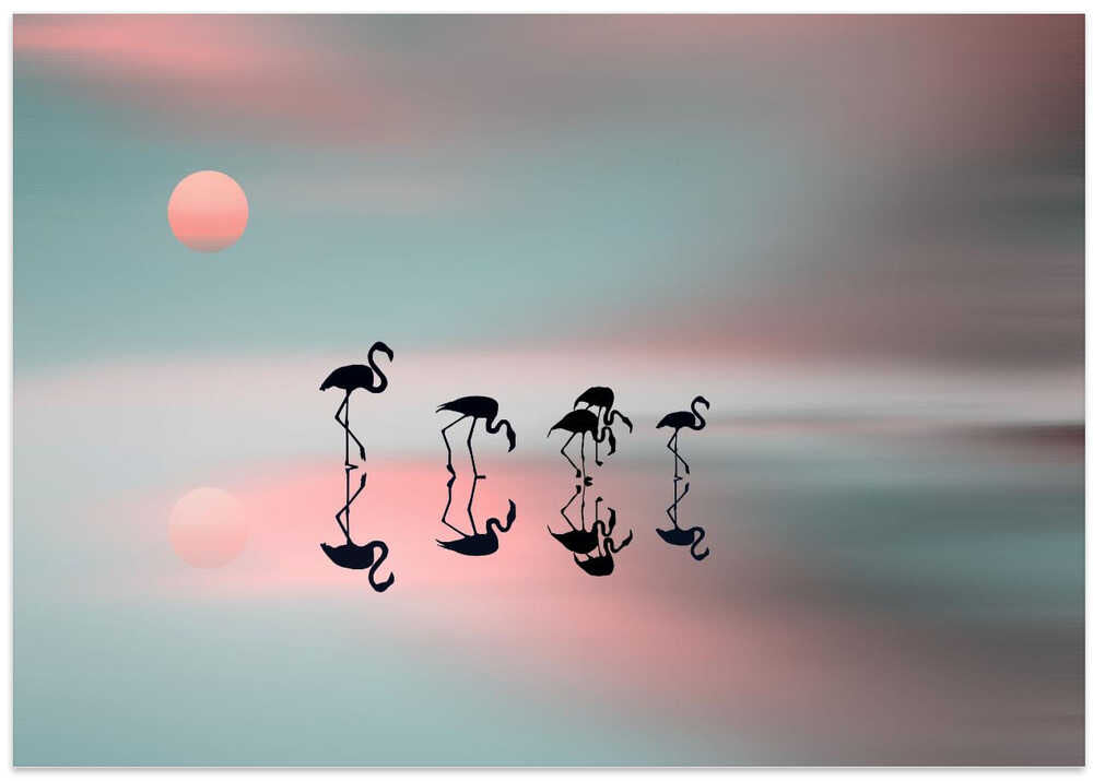 Family flamingos. – B2B
