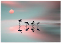 Family flamingos. – B2B