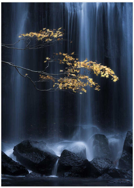 Golden Leaves Waterfall – B2B