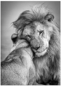 African Love! – B2B