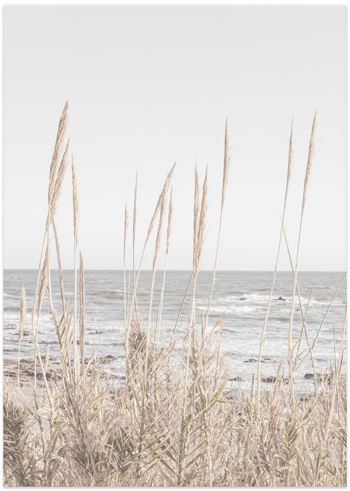 Beach_Vass_001 – B2B