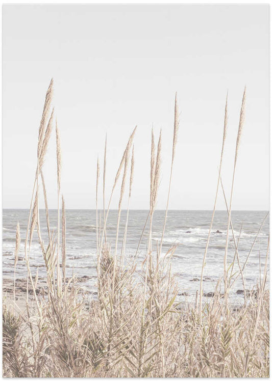 Serene Coastal Grass – B2B