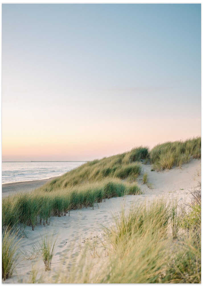 Dutch Dunes – B2B