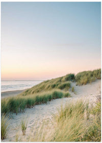 Dutch Dunes – B2B