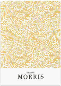 Larkspur – B2B