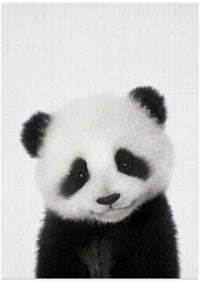 Cute Baby Panda – B2B