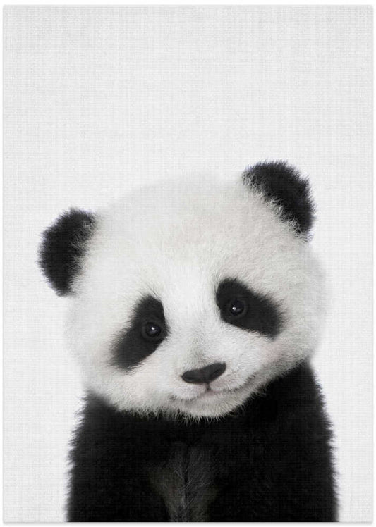 Cute Baby Panda – B2B