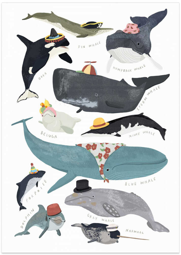Whales In Hats – B2B