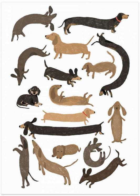 Dachshund Print – B2B