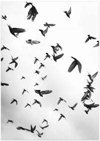 Skyward Symphony – B2B