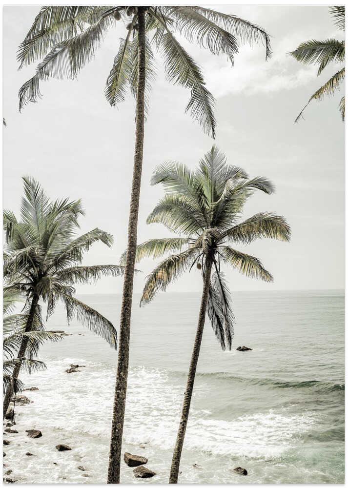 Serene Palm Coast – B2B