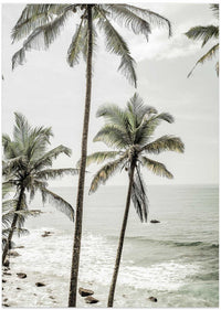 Serene Palm Coast – B2B