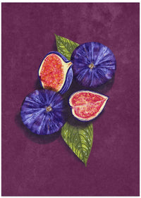 Figs Stil Life – B2B