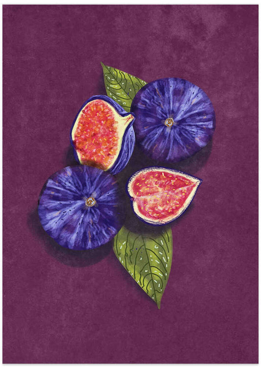 Figs Stil Life – B2B