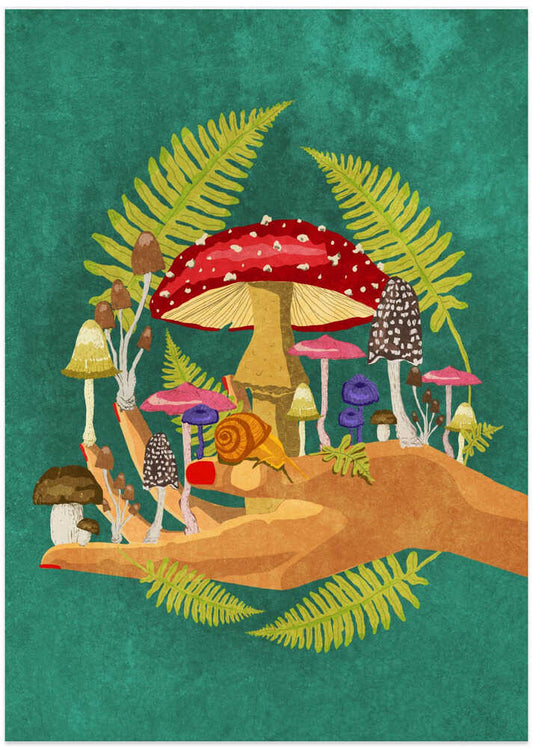 My Mushroom Cosmos – B2B