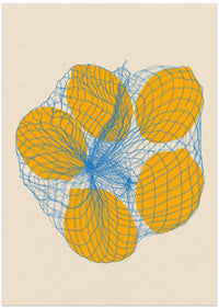 Five Lemons In a Net Bag – B2B