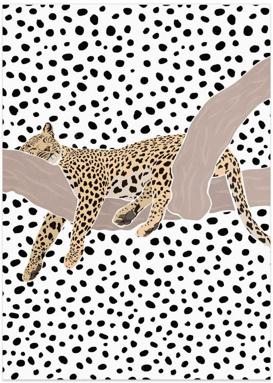 Leopard Sleeping Polkadots – B2B