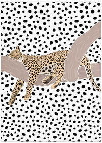 Resting Leopard Spots – B2B