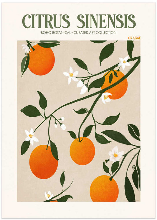 Orange Elegance – B2B