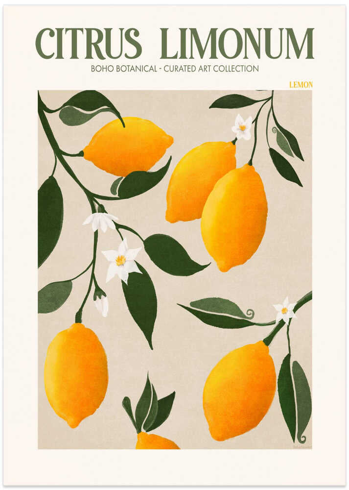 Golden Citrus Delight – B2B