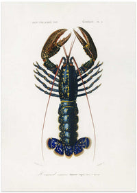 Crimson Crawfish – B2B