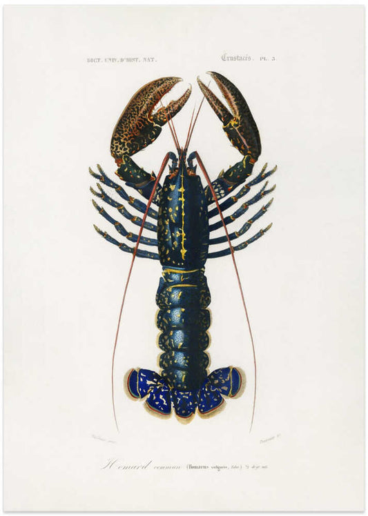 Crimson Crawfish – B2B