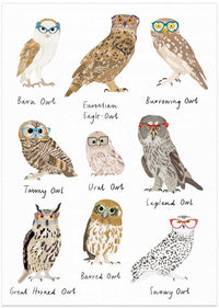 Owls In Glasses Print – B2B