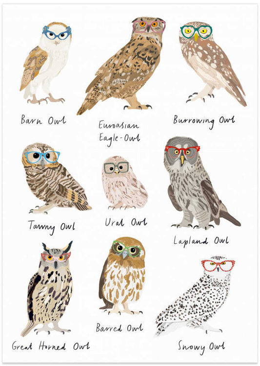 Owls In Glasses Print – B2B