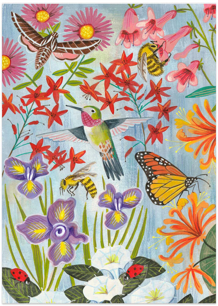 Pollinators and flowers – B2B