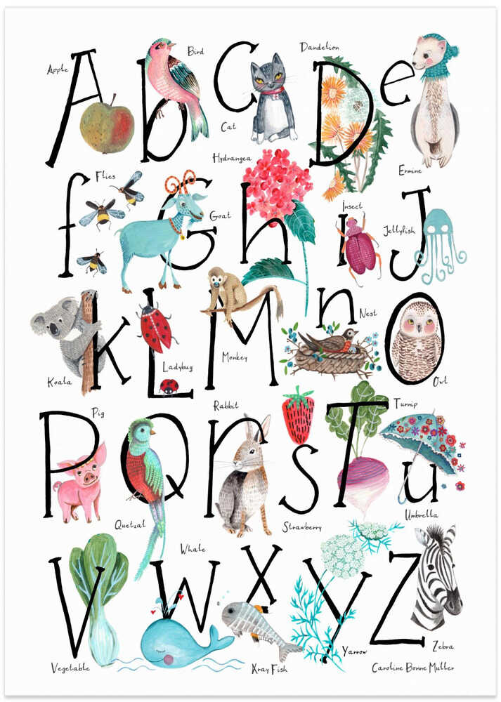 ABC illustration – B2B