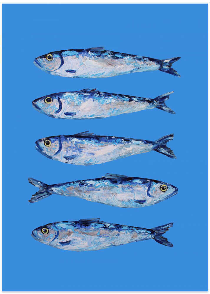 Five Blue Sardines - XL Poster