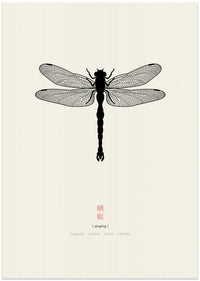 Dragonfly – B2B