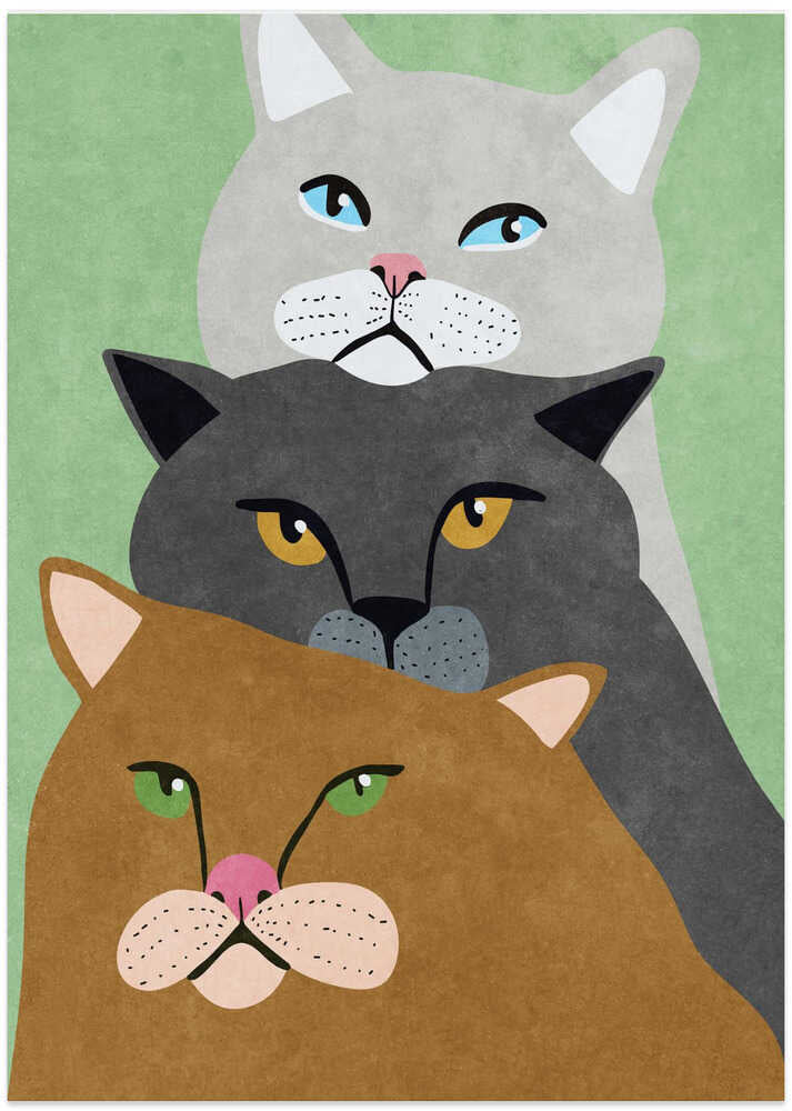 Cat Trio – B2B
